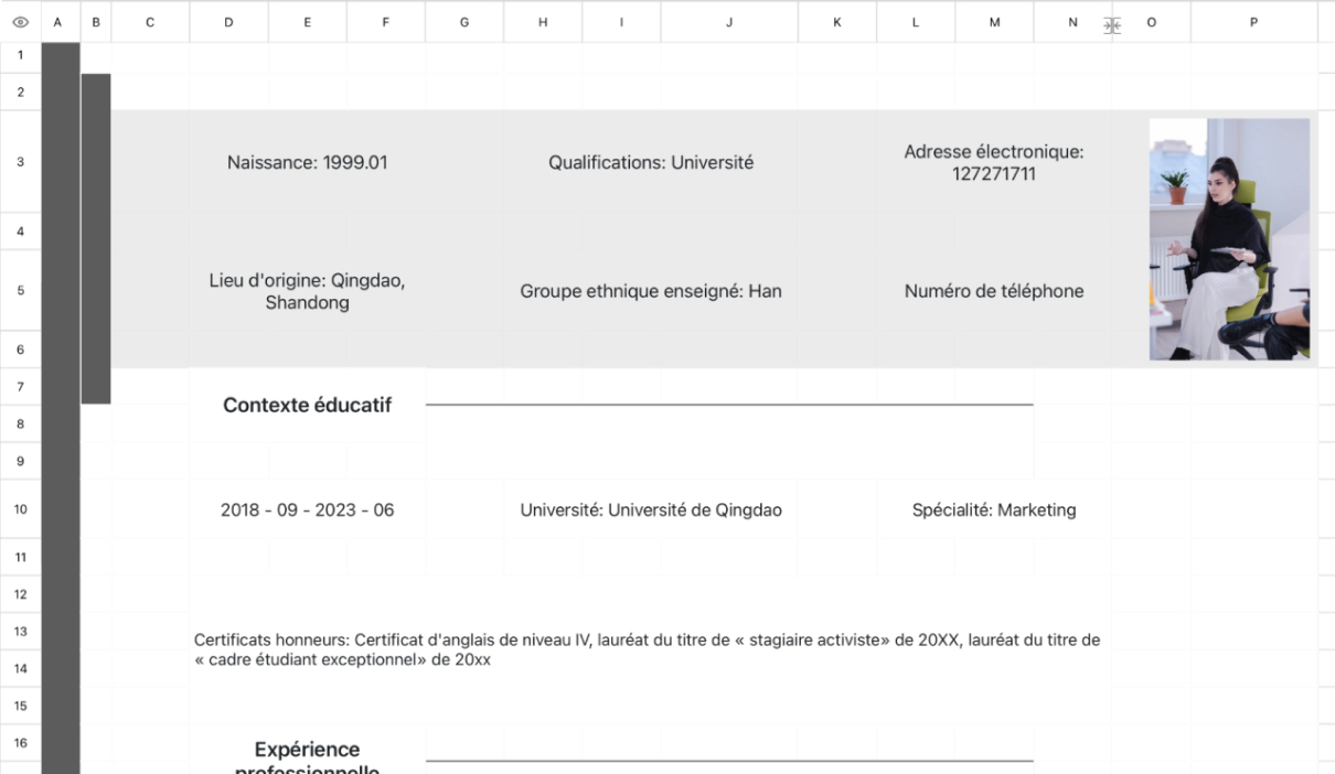 Marketing CV personnel